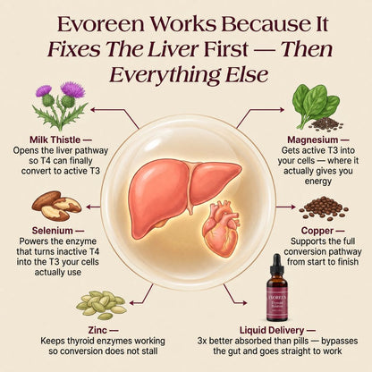 Evoreen™ Thyroid Balance